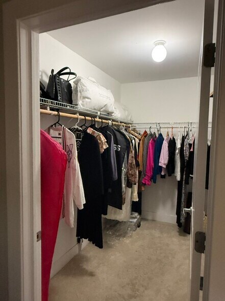 master walsk-in closet - 525 Kedzie St