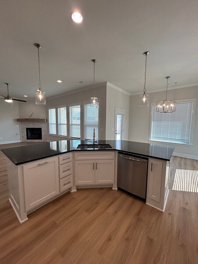 Building Photo - Brand New 4 bed 2.5 bath Modern Build in P...