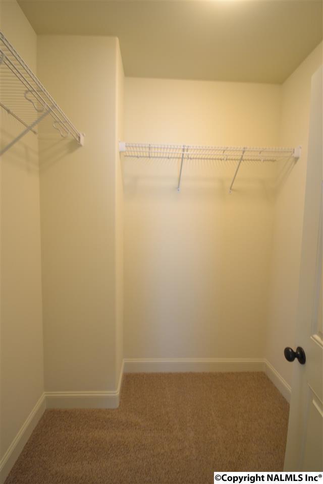 Building Photo - 12089 Southern Charm Blvd