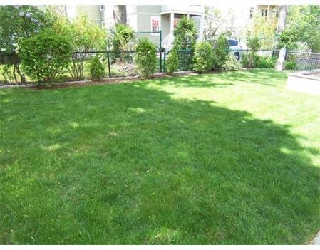 Building Photo - 66 Brock St