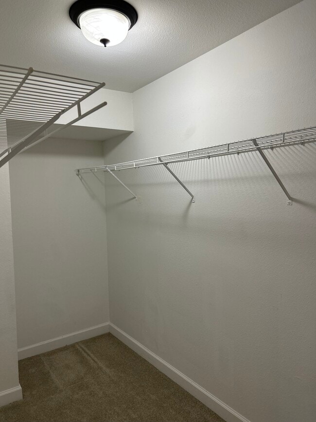 Building Photo - 1313 Saint Andrews Ln