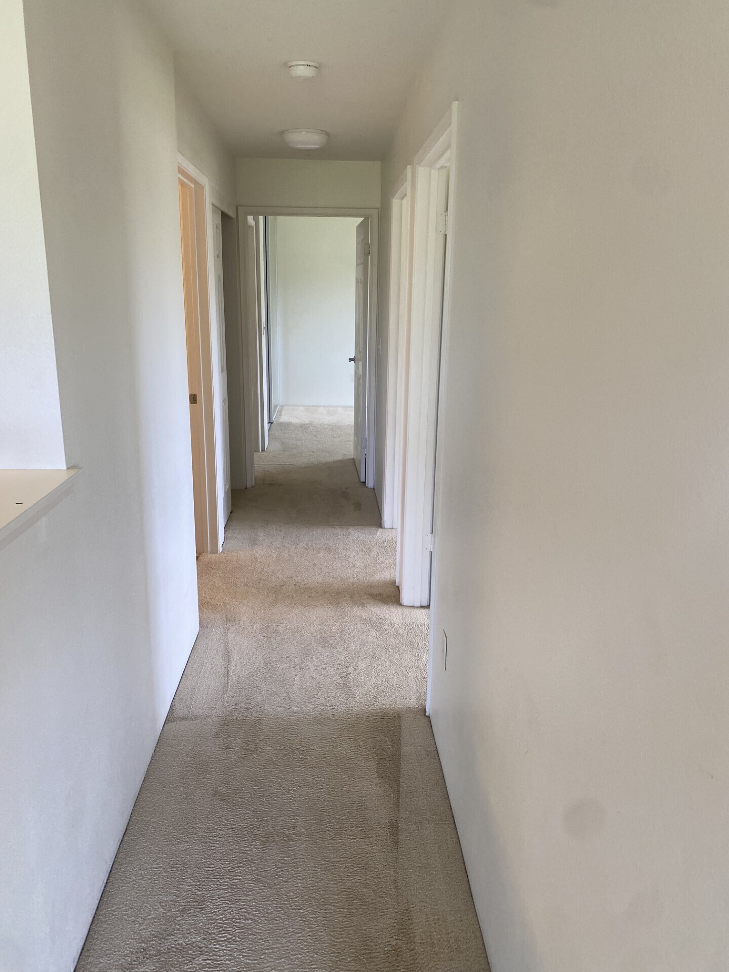 Building Photo - 50 Kihalani St