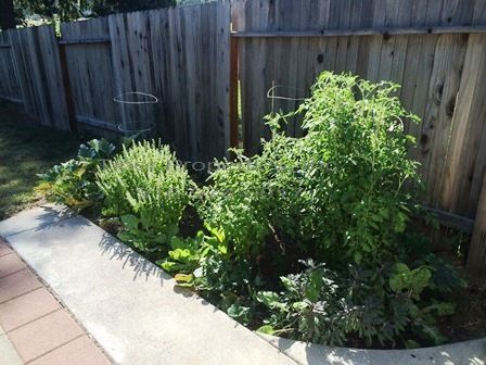 Building Photo - Charming Two Bedroom Duplex in Fair Oaks