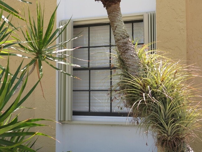 Building Photo - 2668 La Lique Cir