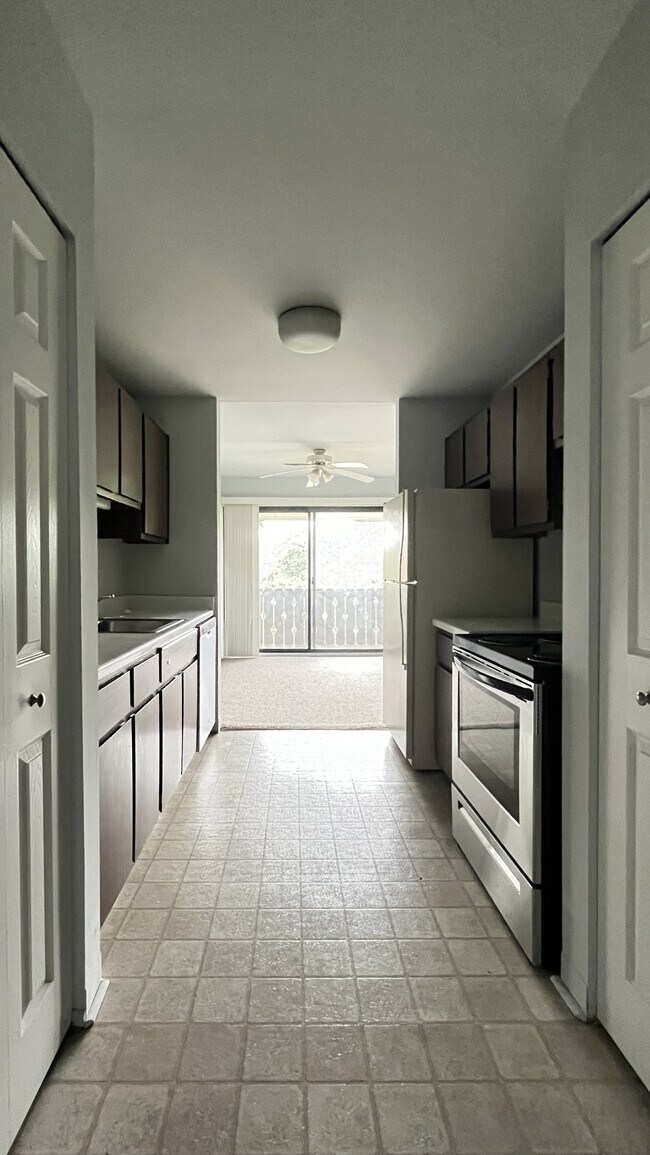 kitchen - 2102 Pauline Blvd