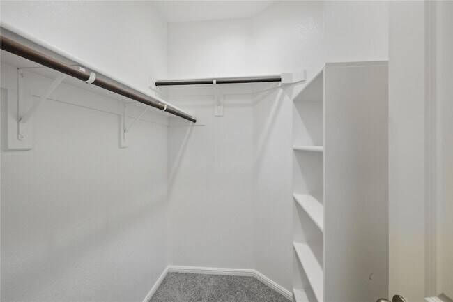 Building Photo - 8313 Twisted Pne Wy
