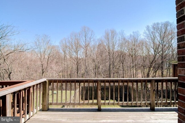 Building Photo - 12109 Stallion Ct