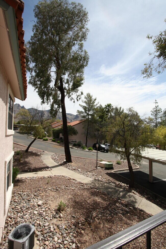 Building Photo - 6445 N Tierra De Las Catalinas