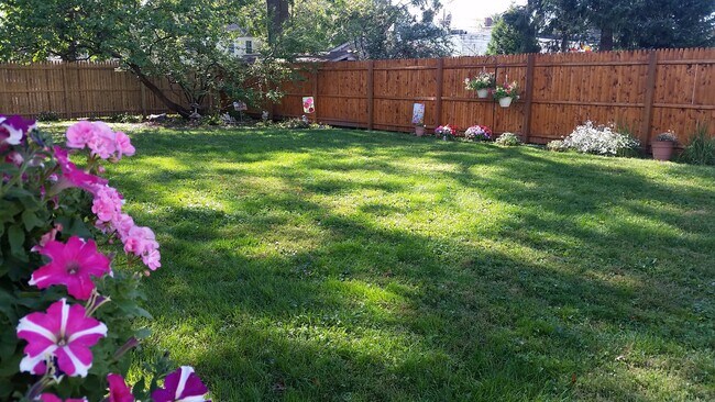 Large back yard - 776 Union St