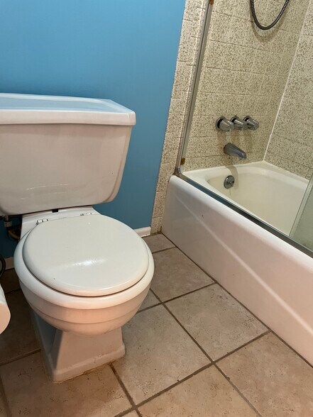 Bathroom - 1365 Columbine St