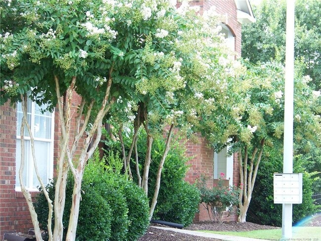 Building Photo - 513 Meadowland Ct