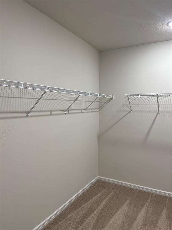 Building Photo - 5503 Keaton Springs Dr
