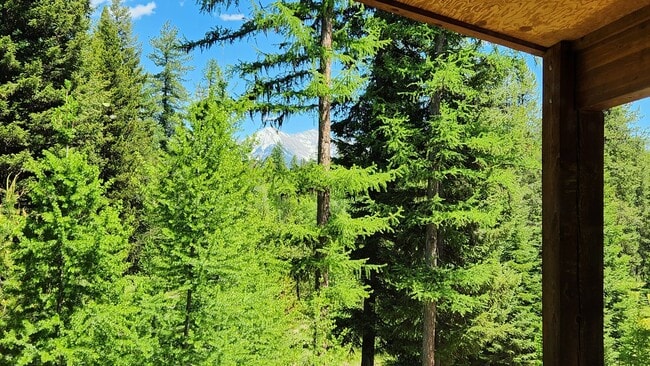 Building Photo - Beautiful Home in Condon