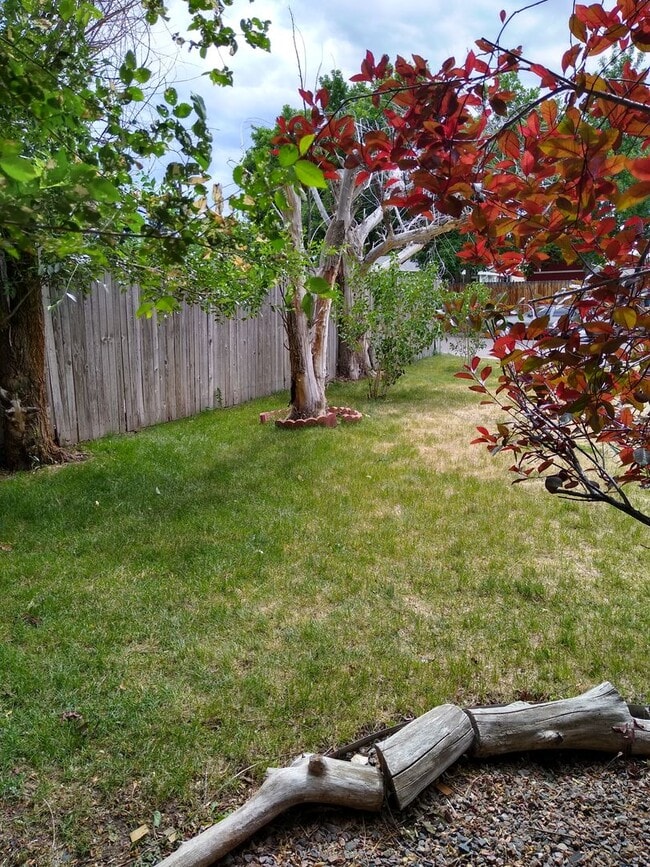 Building Photo - Charming 2 Bedroom 2 Bath w/ Large Yard, 1 Car Garage and Central Air/Heat