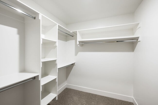 Building Photo - 715 Pine Ridge Ln