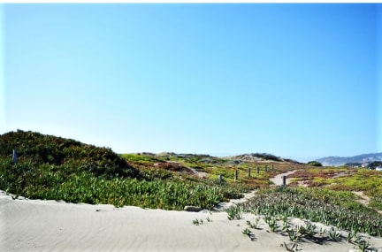 Sand Dunes Across From Apartment - 1580 Great Hwy