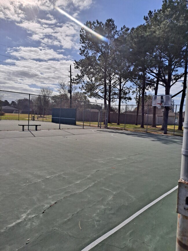 Full basketball court - 18326 Autumn Trails Ln
