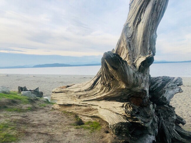 Building Photo - 3066 63rd Ave SW