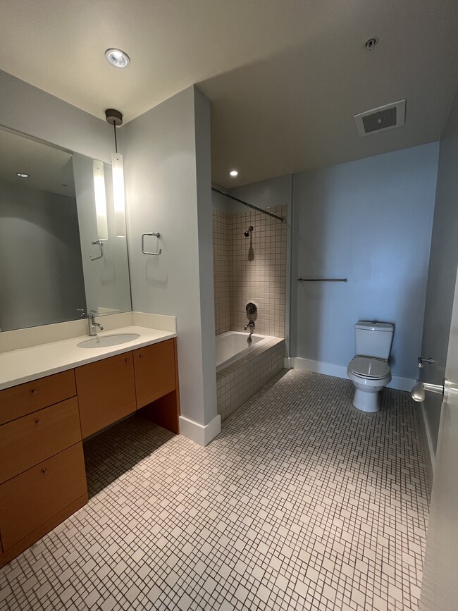 guest bathroom - 3601 S River Pky