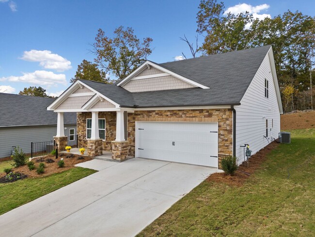 Building Photo - Brand New Home in Canton!