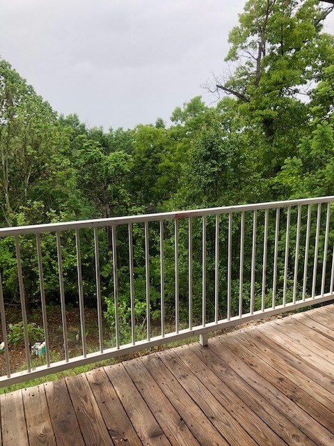 Property back to woods - 1699 Cherokee Rd