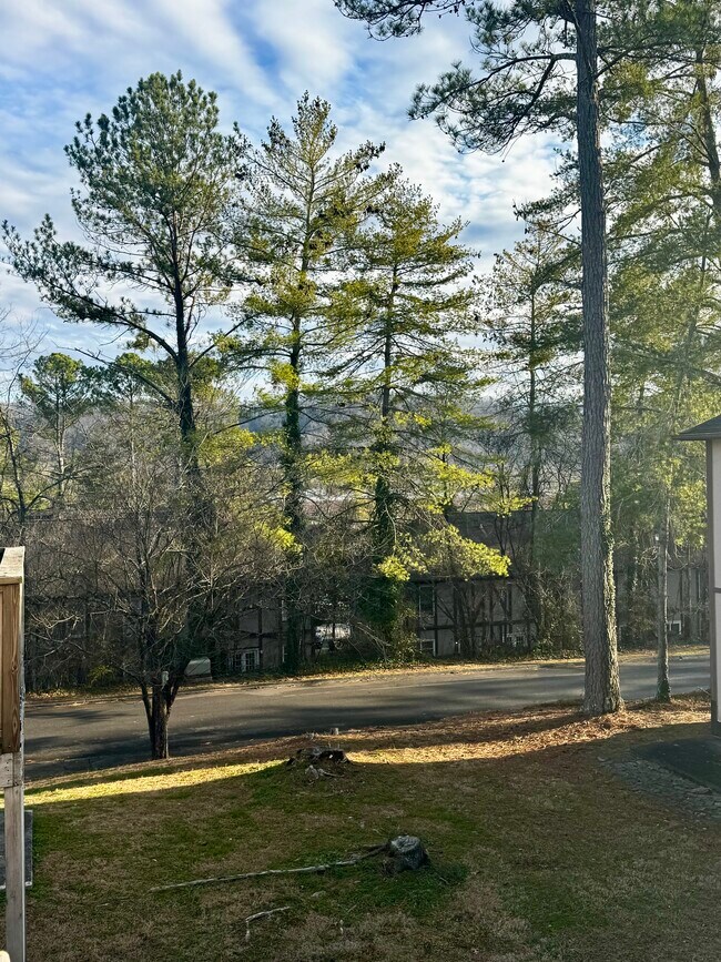 Building Photo - 121 Arcadia Ln