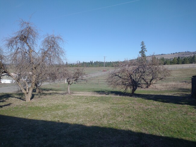 N view from house - 8209 S Hilby Rd