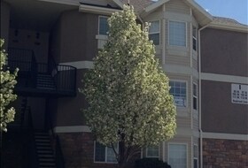 Building Photo - Great Daybreak Condo in Harvest Hills!!