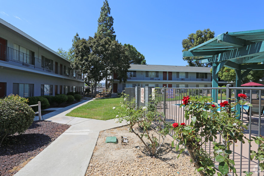 Courtyard - The Timbers Apartments