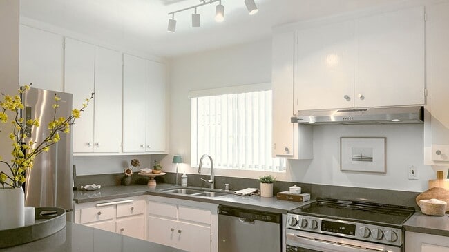 Building Photo - Townhouse Aparts