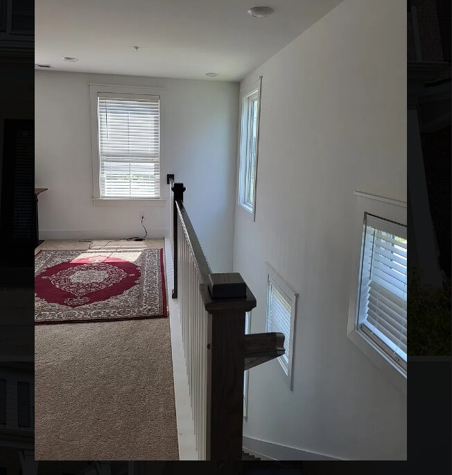 Building Photo - 372 Hammock Ln