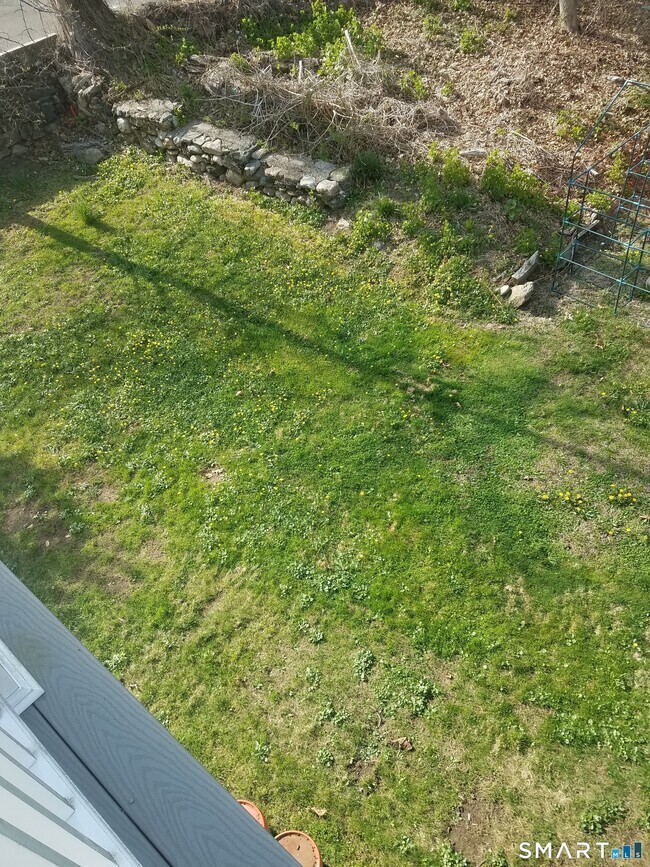 Building Photo - 72 Maple Tree Ave