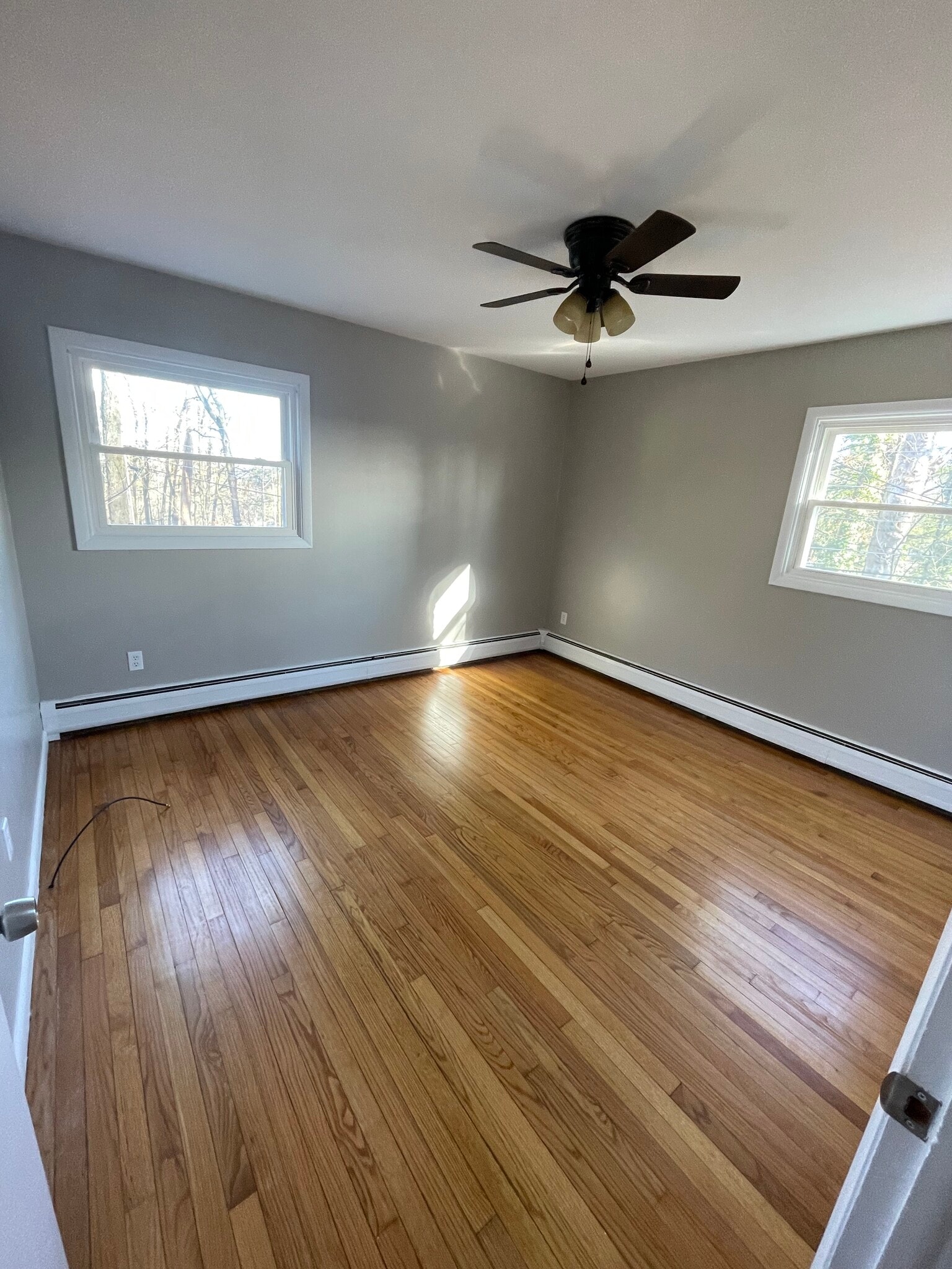 Building Photo - 513 Waverly Ave