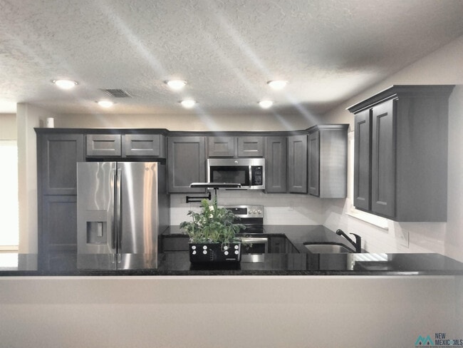 Building Photo - 2115 Roadrunner Dr