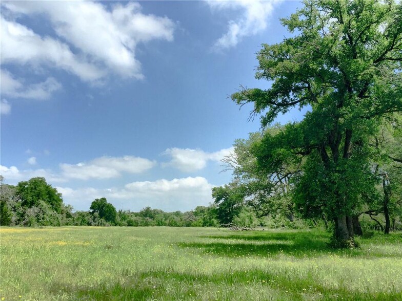 Pasture (6.5+ acres) - 501 York Creek Rd