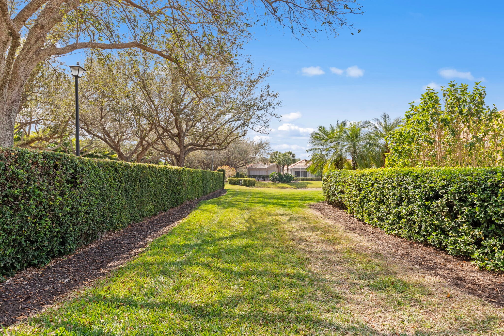 Building Photo - 4748 San Carlo Ct