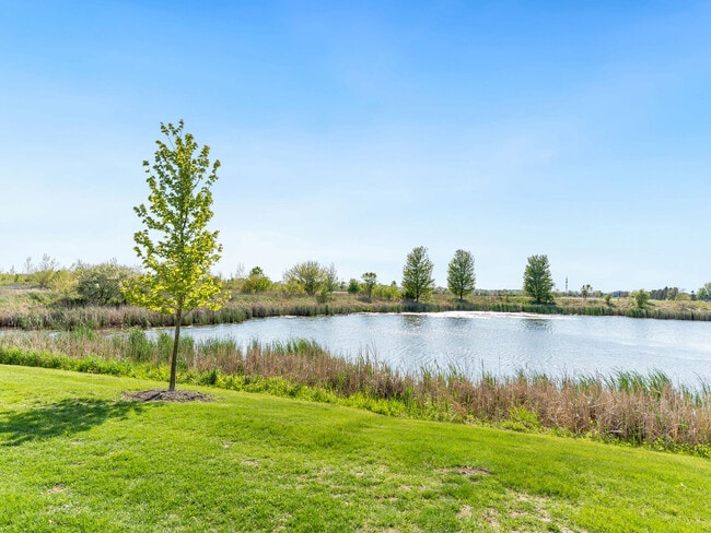 Building Photo - 15749 W Crobally Way