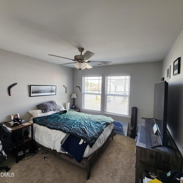 Building Photo - 157 Roebuck Ln