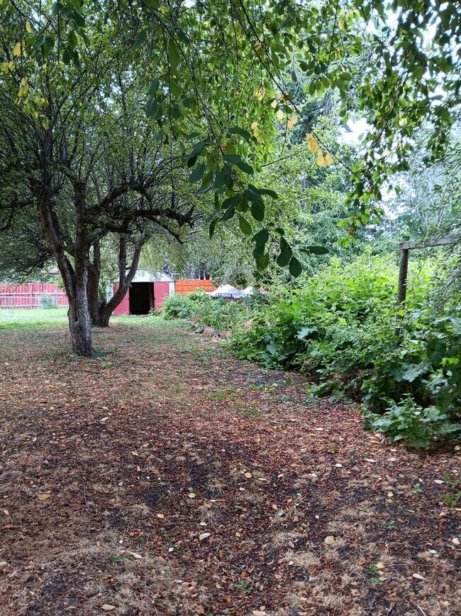 Building Photo - 3 Bed House in La Grande