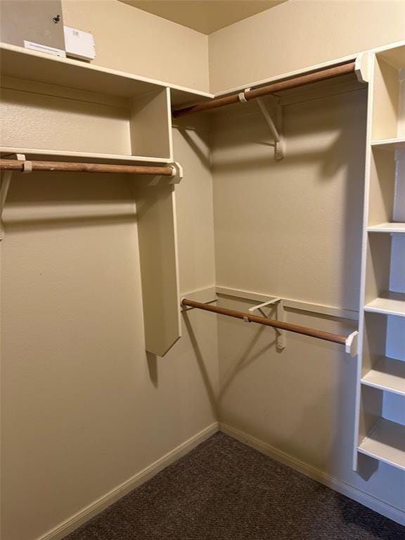 Building Photo - 7518 Amber Meadow Loop