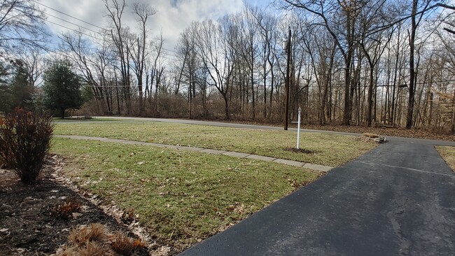 View from driveway toward front yard - no neighbors across the street - 6934 Winding Way