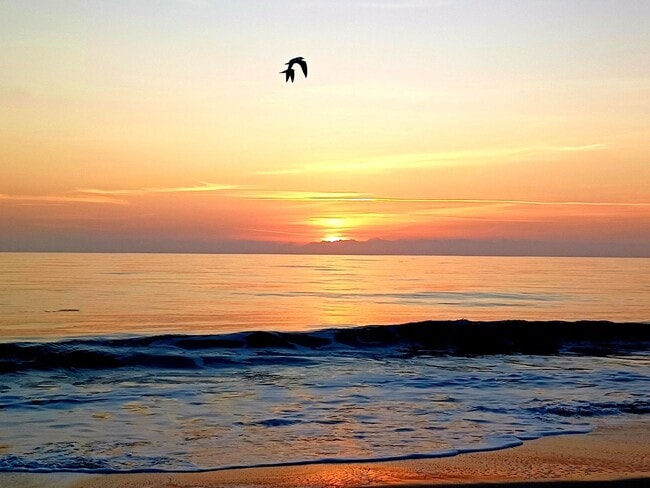 Building Photo - Vero Beach Rentals. Vero Beach Rent, LLC and Property Management Company