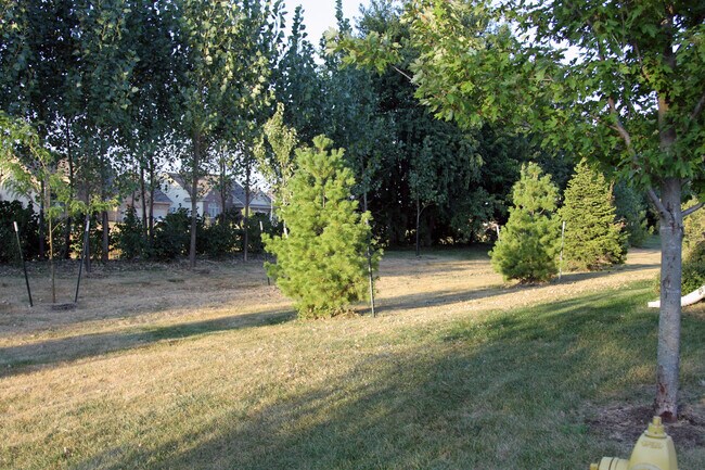 Backyard - 2789 NW 155th St