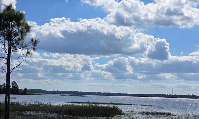 Building Photo - 1634 Dolphin Dr