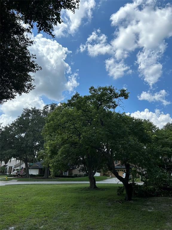 Building Photo - 1879 Meadowgold Ln