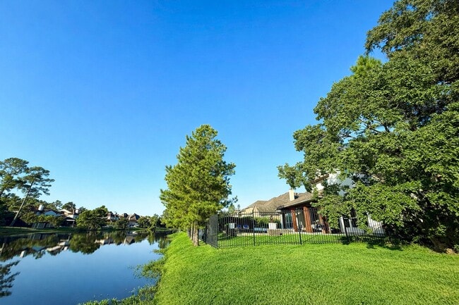 Building Photo - 19 Paloma Bend Pl