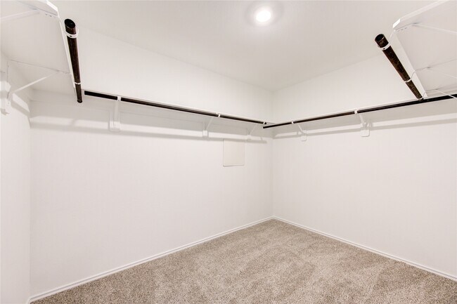 Building Photo - 2913 Misty Elm Ln