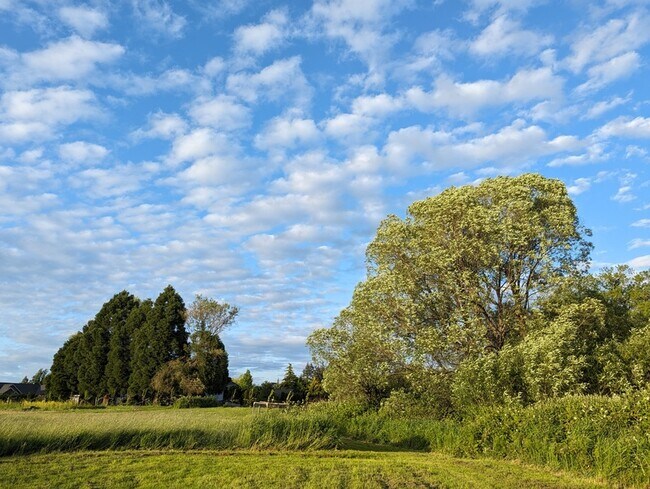 Primary Photo - 19105 NE 112th Ave