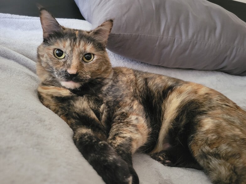 Building Photo - 575 Pierpont Dr