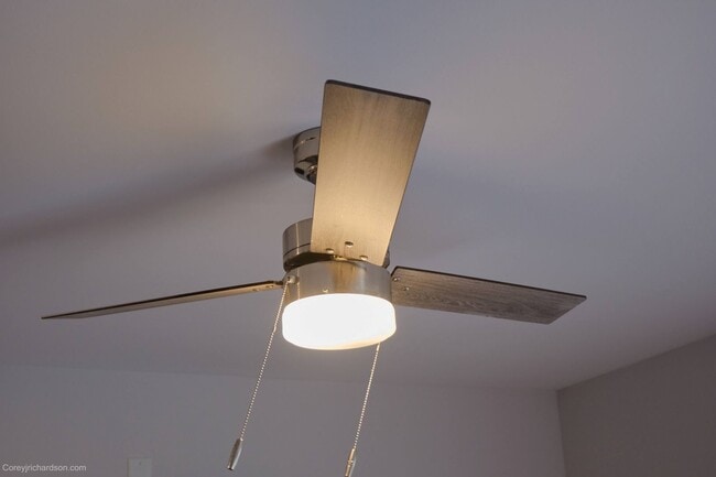 Building Photo - Newly Renovated 1-Bedroom Apartment Available